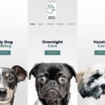 Digital Download Store Theme Product Featured Image 8 150x150